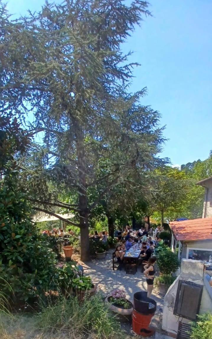 Ala Di Maniero In Agriturismo Valdrago In Toscana, Nel Verde Mugello Sulle Colline Di Firenze 博尔戈圣洛伦索 外观 照片