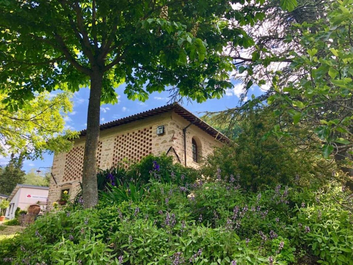 Ala Di Maniero In Agriturismo Valdrago In Toscana, Nel Verde Mugello Sulle Colline Di Firenze 博尔戈圣洛伦索 外观 照片