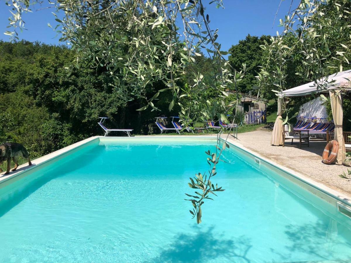 Ala Di Maniero In Agriturismo Valdrago In Toscana, Nel Verde Mugello Sulle Colline Di Firenze 博尔戈圣洛伦索 外观 照片